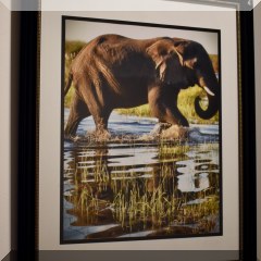 A15a. Framed elephant photo. 20”x16” - $25 each 